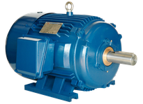 PE449TS-300-2-IN