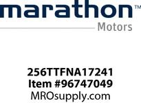 256TTFNA17241