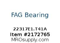 22317E1.T41A