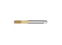 1681AP1X8
