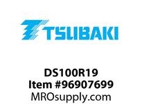 DS100R19
