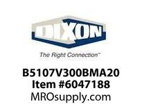 B5107V300BMA20