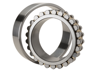 NN3030C1NAP4