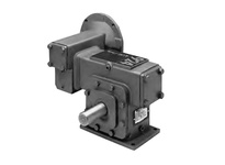 E17MDTD31000N4