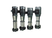 29Z53039