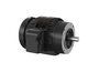 VXT3022T