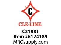 C21981