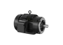 VXT3036T