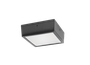 VANLED10NF/PCS