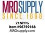 21NPPG