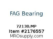 7213B.MP