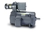 D50200P-BV