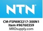 CM-FSPAW2217-300N1