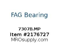 7307B.MP