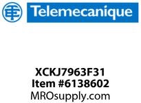 XCKJ7963F31
