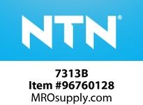 7313B