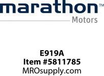 E919A