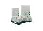 PESWS-B38V24AX-RM69