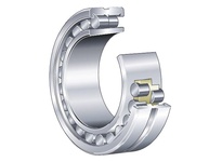 NN3007ASK.M.SP