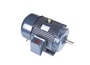 GT1059