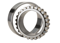 NN3030C1NAP4