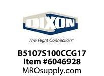B5107S100CCG17
