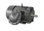 DRX181564T