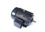 GT1061