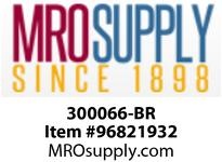 300066-BR