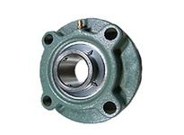 UCFCX07-106D1
