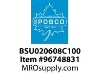 BSU020608C100