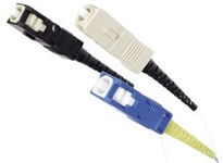FCSCS12R