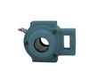 CUCT206C