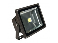 LFLC-30W-M-CW