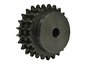 T50B19
