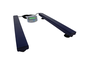 AELP 2000 [GCa]
