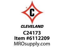 C24173
