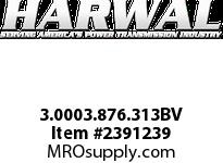 3.000x3.876x.313B1V