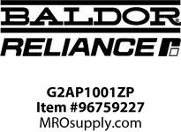 G2AP1001ZP
