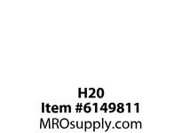 H20
