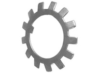 MB 36