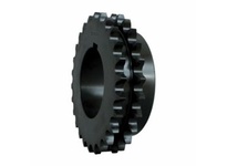 D50P19H