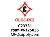 C23731
