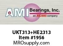 UKT313+HE2313