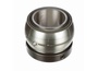 RCIA 415C