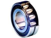 SB 22311K W33 SS