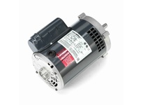 G238A