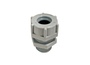 RSP-210
