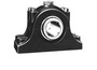 066364