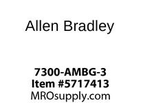 7300-AMBG-3